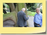 Exploitant Luuk Steel van Hotel congrescentrum de Leijhof kijkt toe als Bert Klerks van het B-team Oisterwijk het blad van deze Westerse Levensboom vergelijkt met die van een Oosterse levensboom uit het Wandelbos in Tlburg.