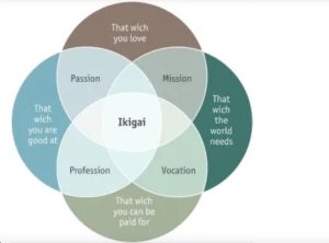 Ikigai