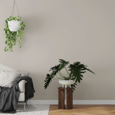 10 favoriete hangplanten voor binnen die jouw woonruimte laten stralen