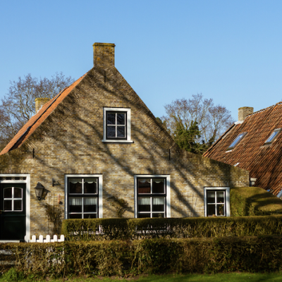 Welke haag past bij je tuin als je privacy en sfeer wilt combineren