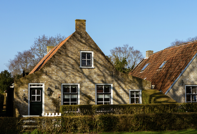 Welke haag past bij je tuin als je privacy en sfeer wilt combineren